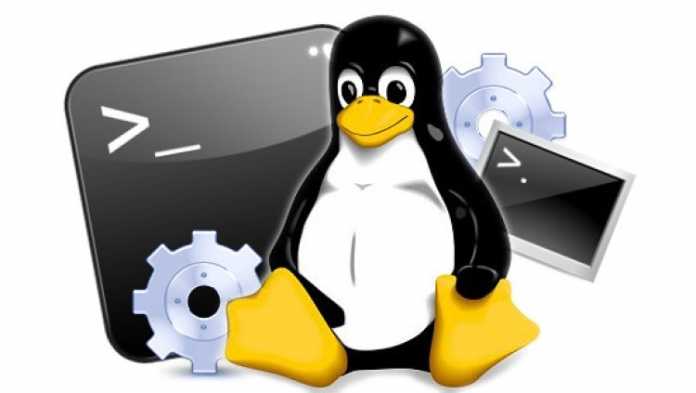 06 Best Linux Apps